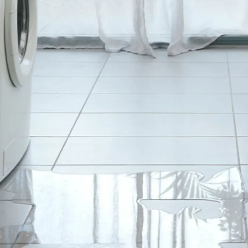 Appliance Leak Cleanup in Green Lake County, WI