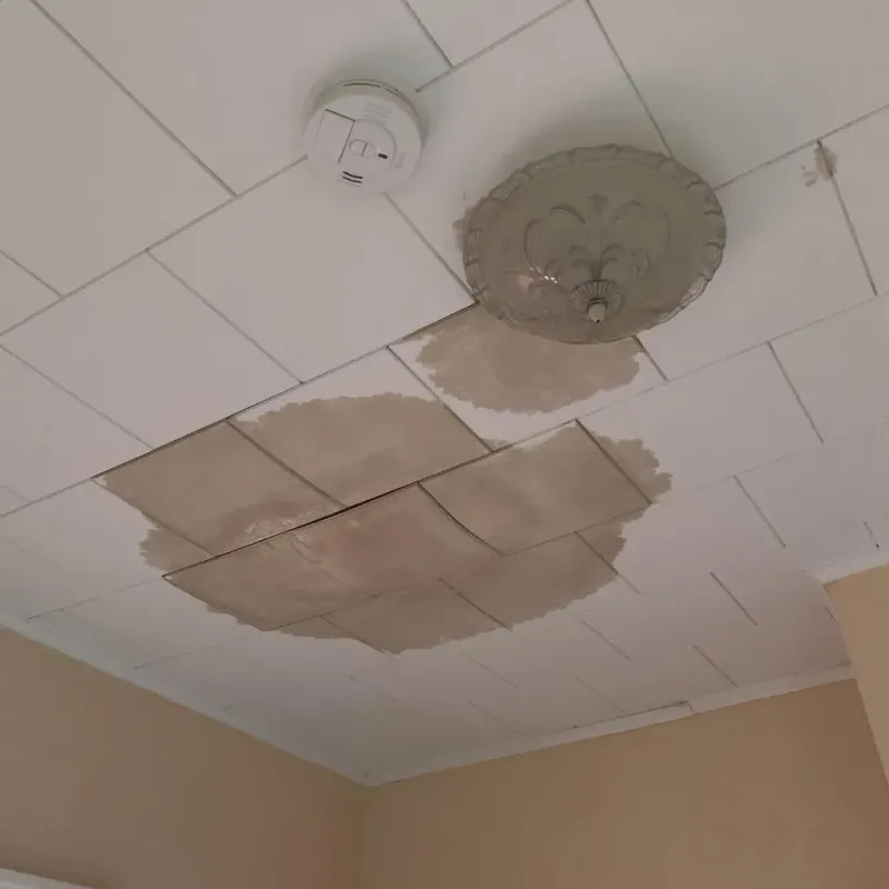 Ceiling Water Damage Repair in Green Lake County, WI
