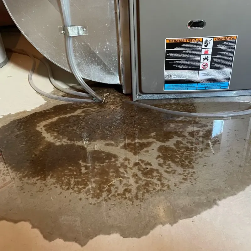 Pipe Burst and Leak Restoration in Green Lake County, WI