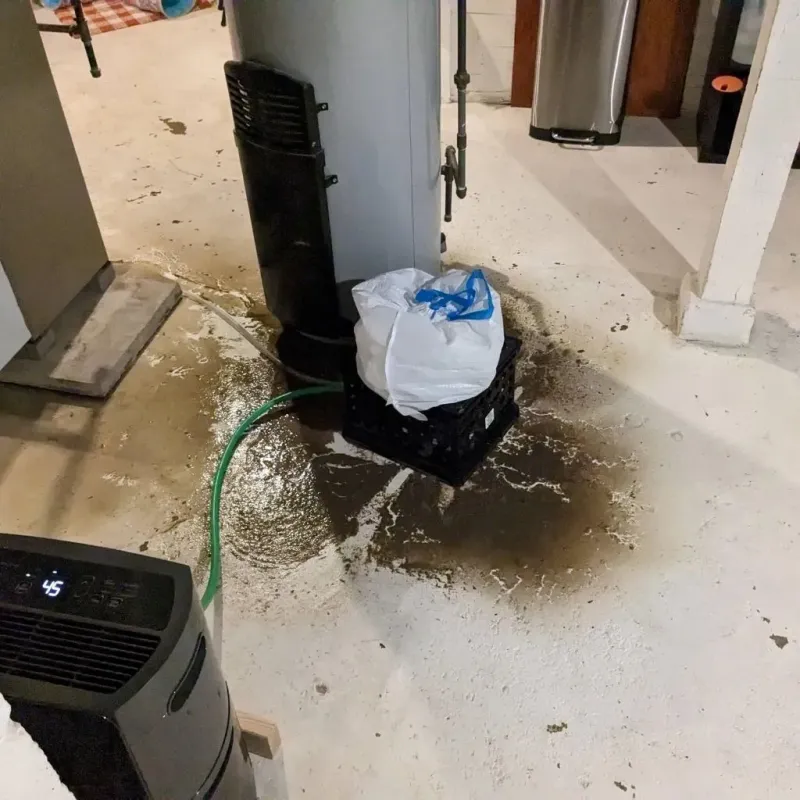 Sewage Backup Cleanup Service in Green Lake County, WI